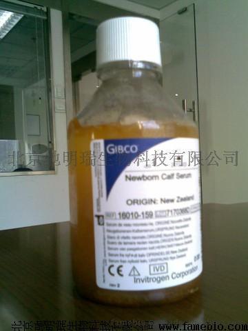 500ml，胎牛血清gibco 16000-044（美洲血源），北京驰明瑞生物