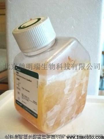 500mlPAA A15-101 500ml PAA A15-151 500ml PAA A15-649北京驰明瑞生物