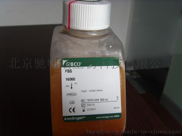 SH30074.02 供体马血清 ES DONOR, CB/Q5 HyClone，北京驰明瑞生物